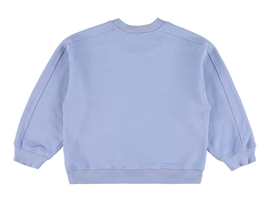 Blue wagon sweatshirt