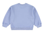 Blue wagon sweatshirt