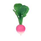 Ramona the Radish Baby Teether