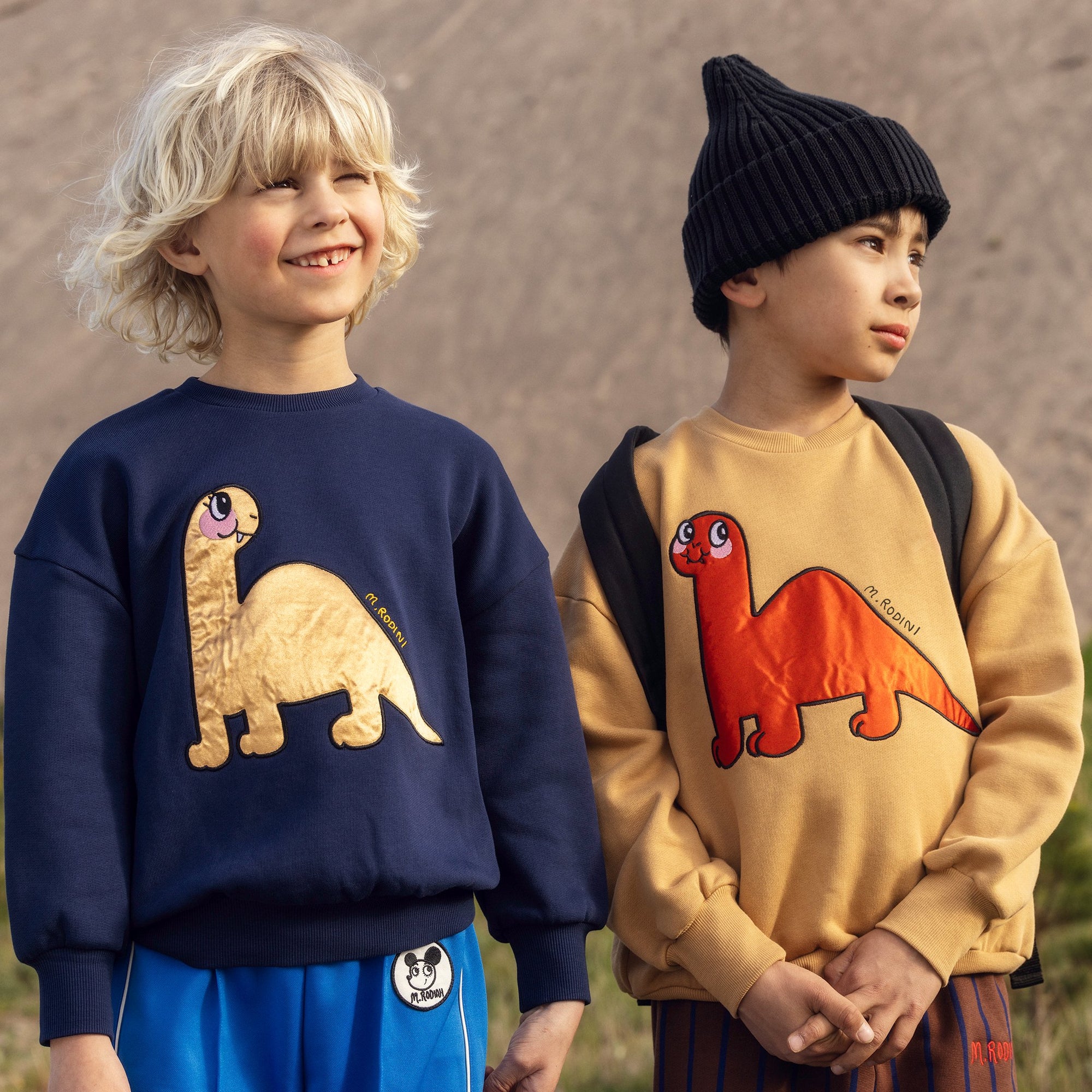  Dino application sweatshirt
