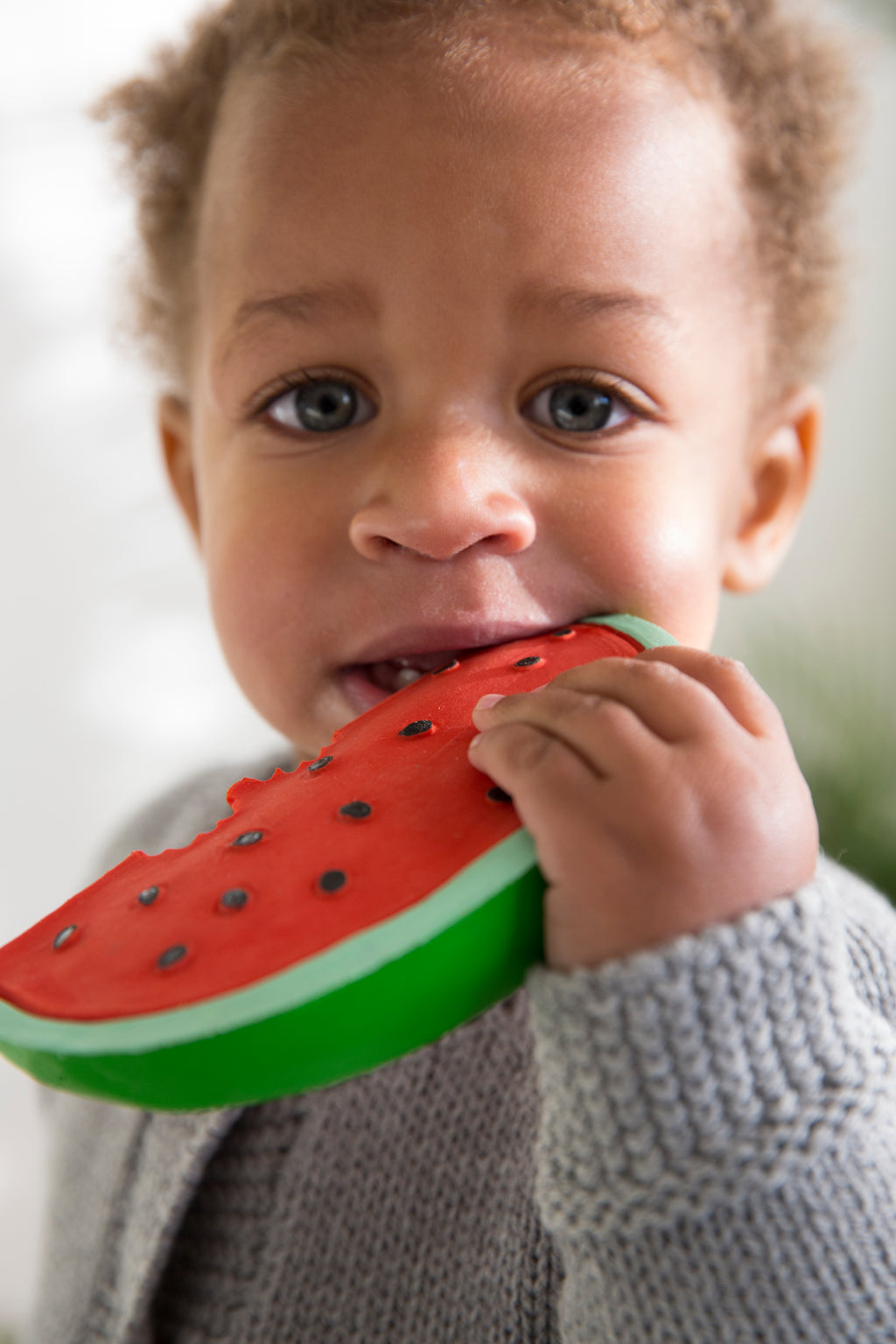 Wally the Watermelon Baby Teether