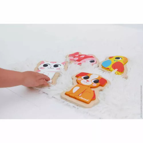 4 puzzles évolutifs Animaux de compagnie