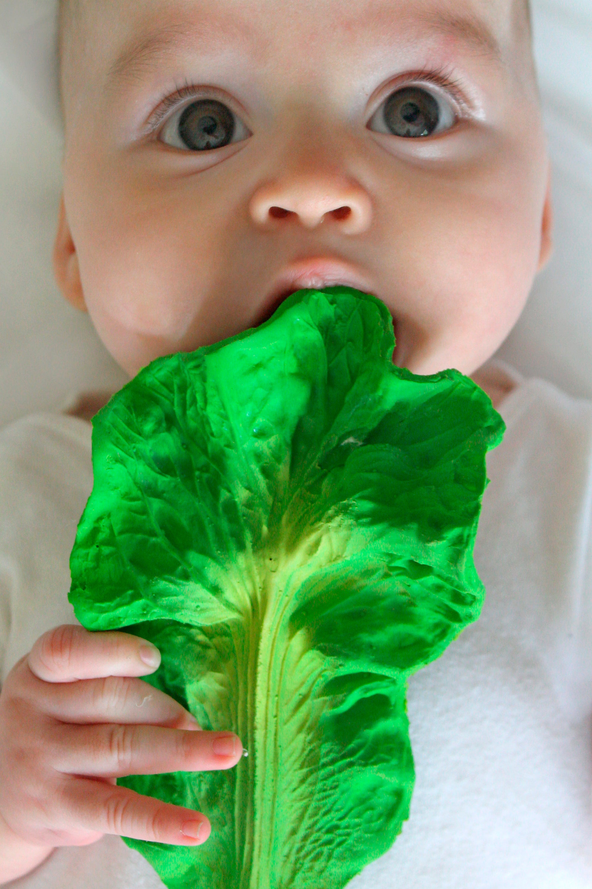 Kendall the Kale Baby Teether
