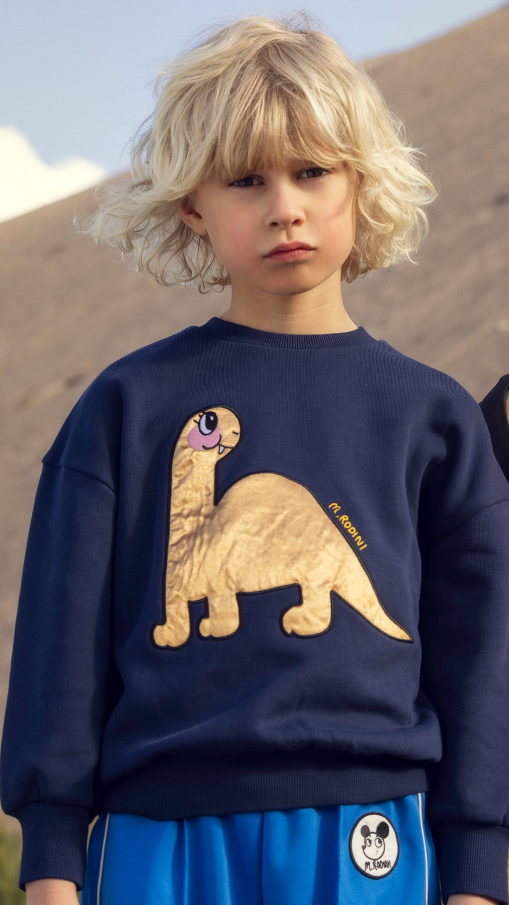  Dino application sweatshirt