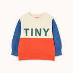 Color Block Sweatshirt