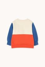Color Block Sweatshirt