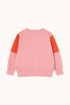 Tiny Color Block Sweatshirt