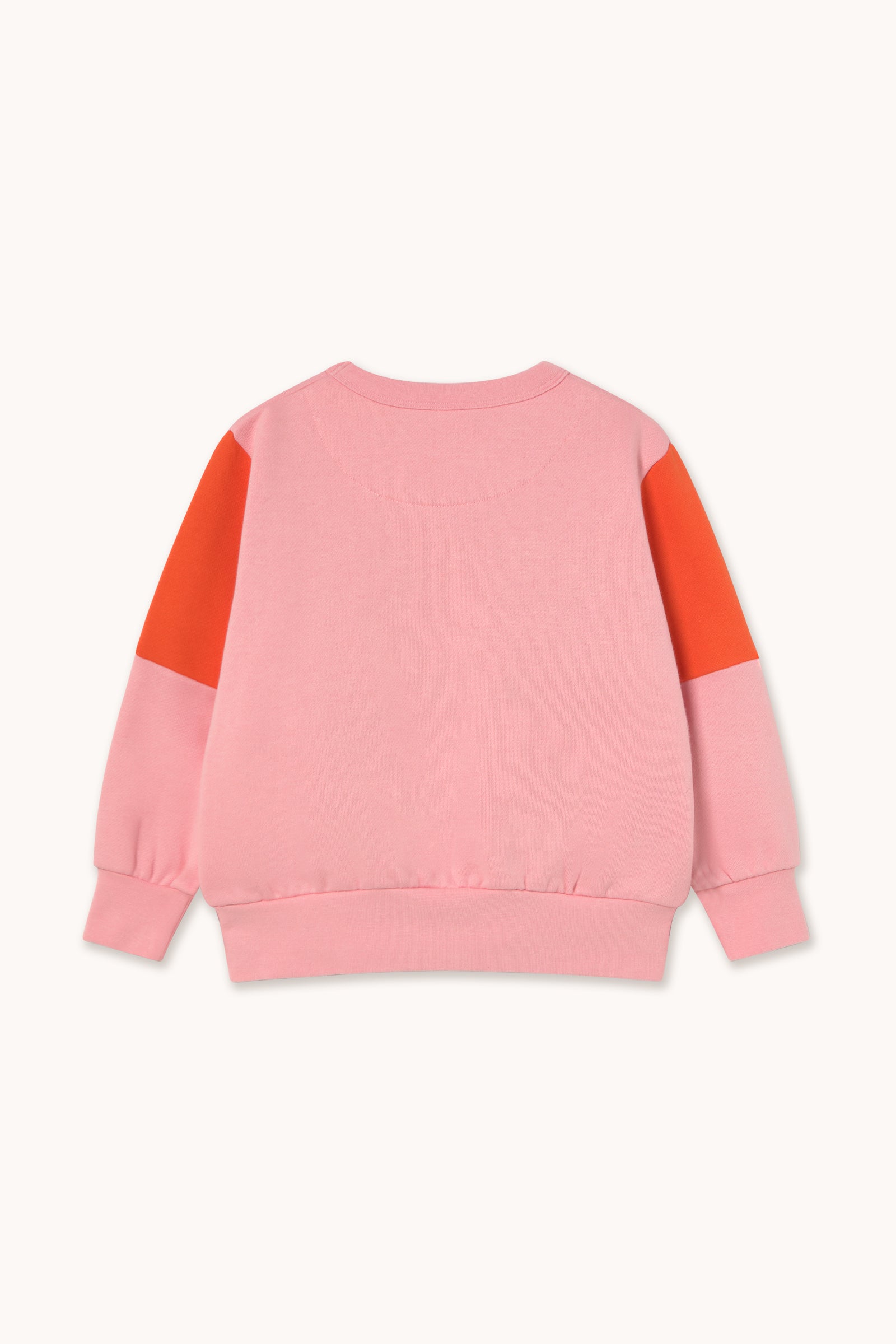 Tiny Color Block Sweatshirt