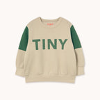 Tiny Color Block Sweatshirt