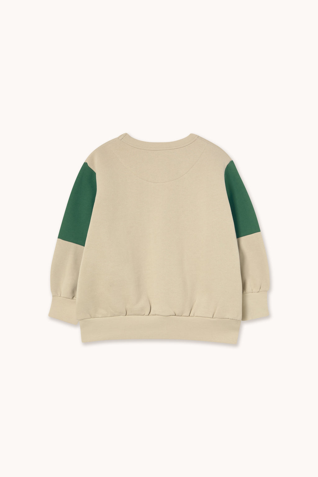 Tiny Color Block Sweatshirt