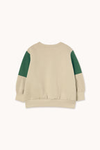Tiny Color Block Sweatshirt