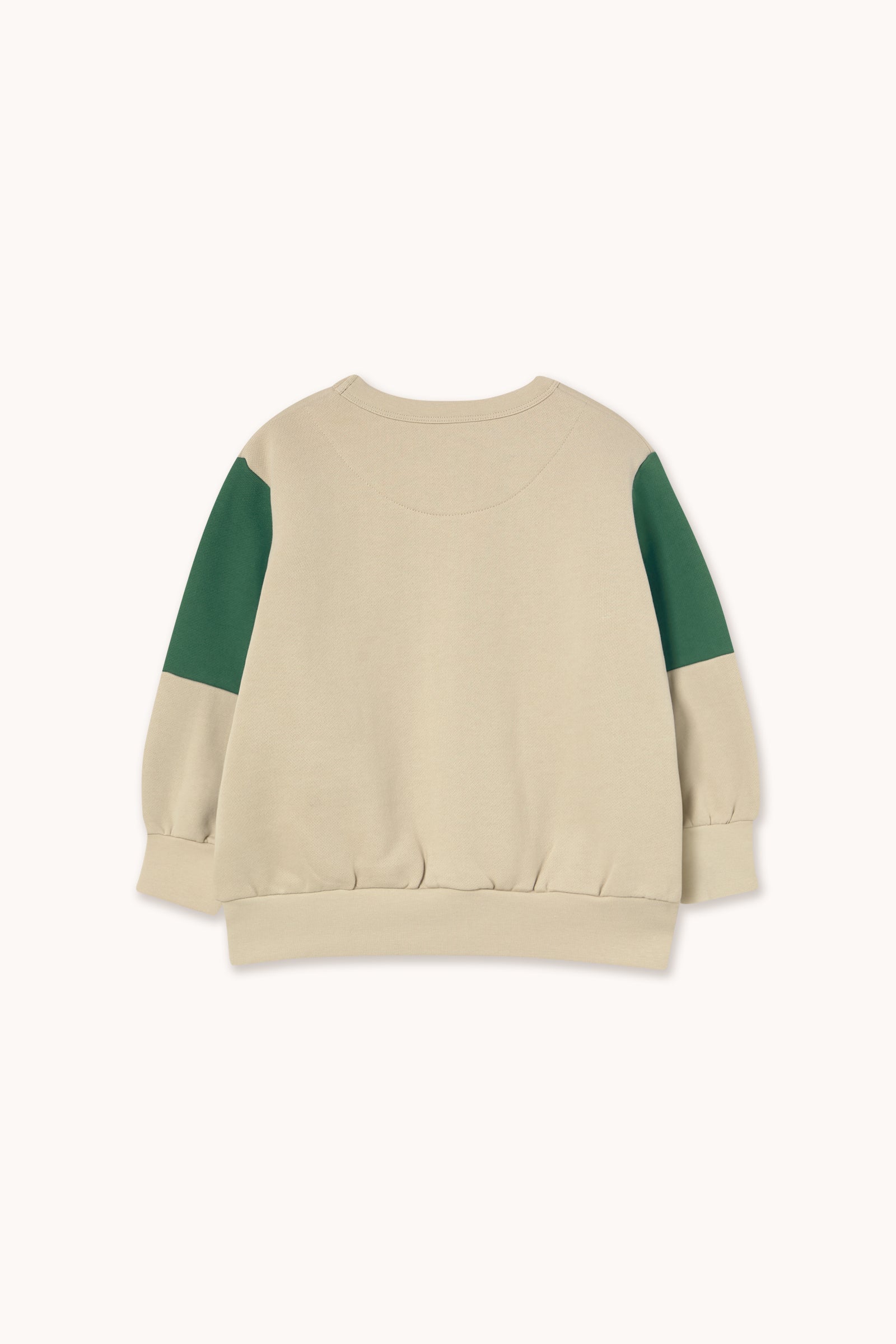 Tiny Color Block Sweatshirt