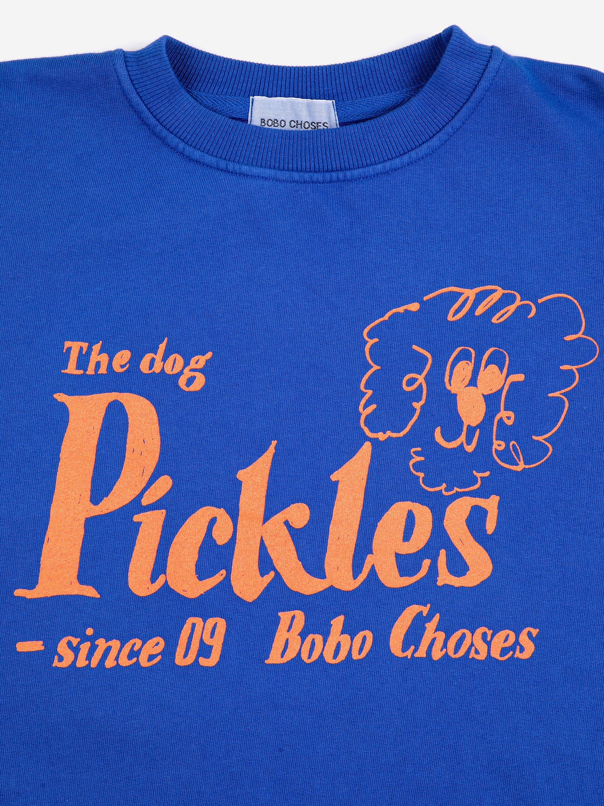 Children's Blue Sweatshirt with "Pickles the Dog" Print