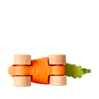 Cathy The Carrot Baby Car Toy