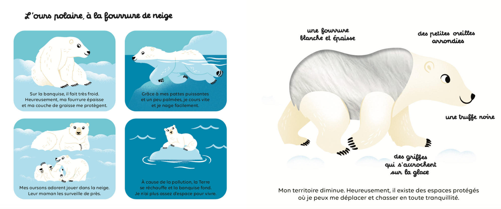 Book animals to protect