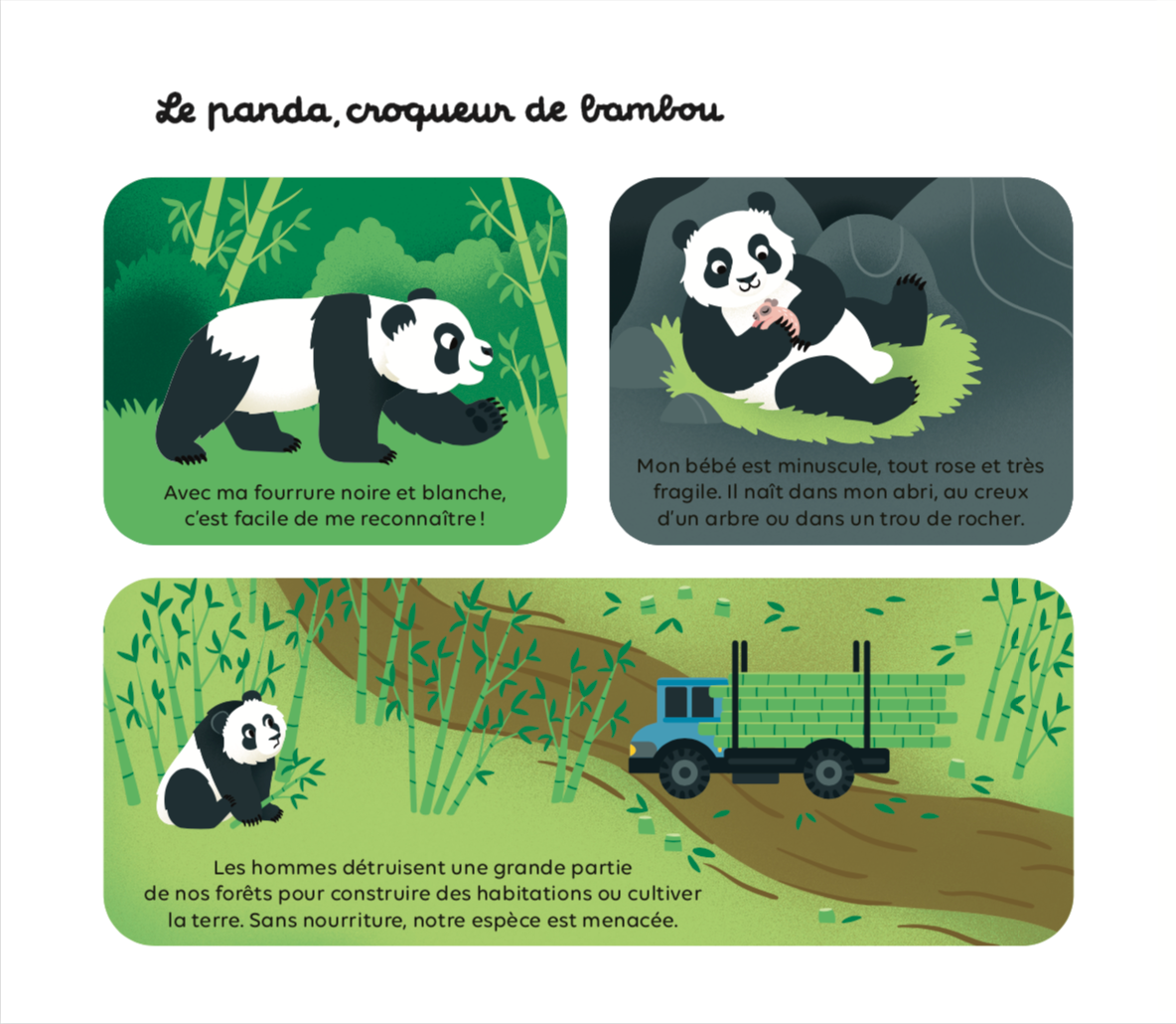 Book animals to protect