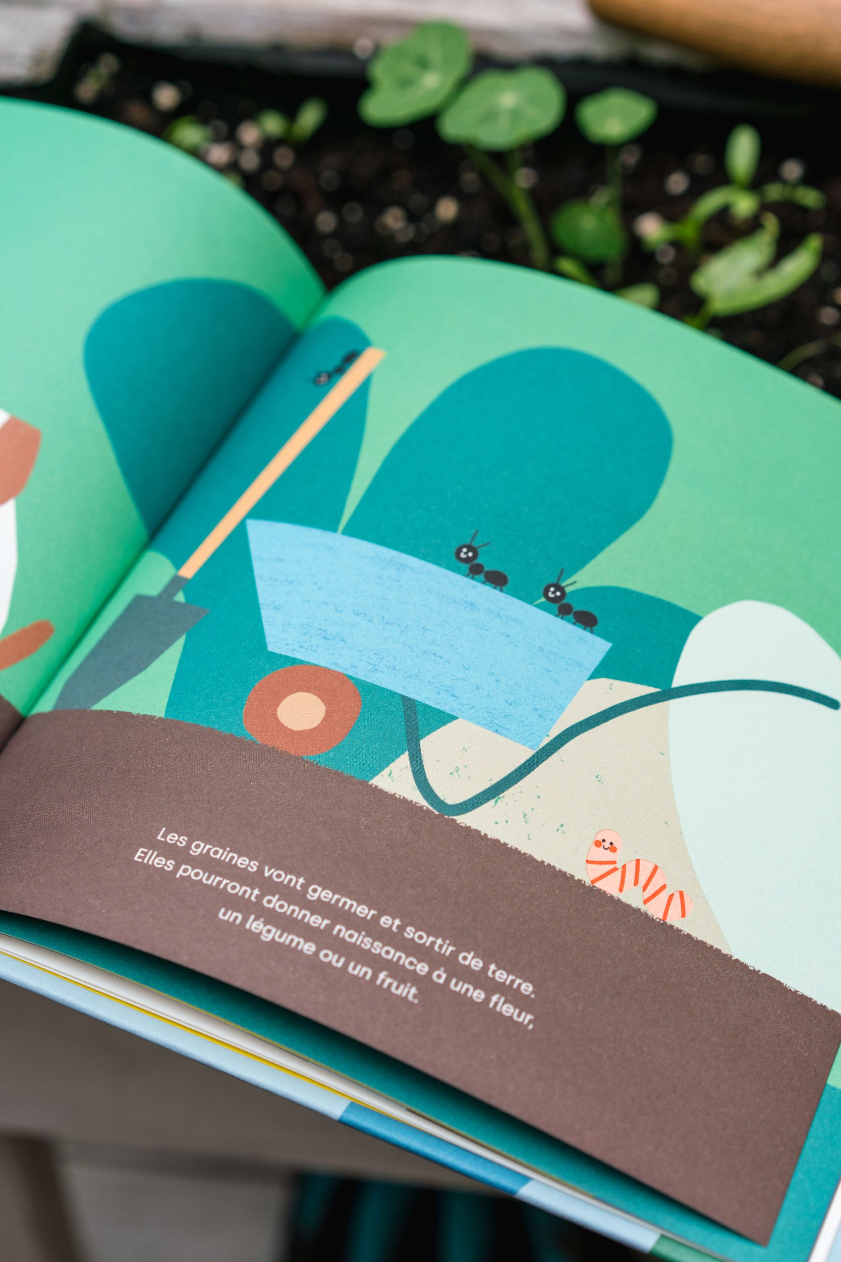 Livre BONJOUR LA TERRE !