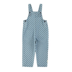 Multicolored overalls (copy)