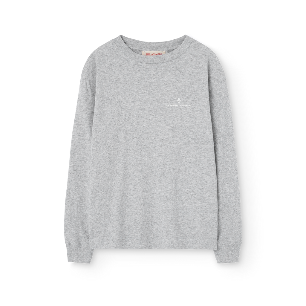 Aries gray long-sleeved t-shirt