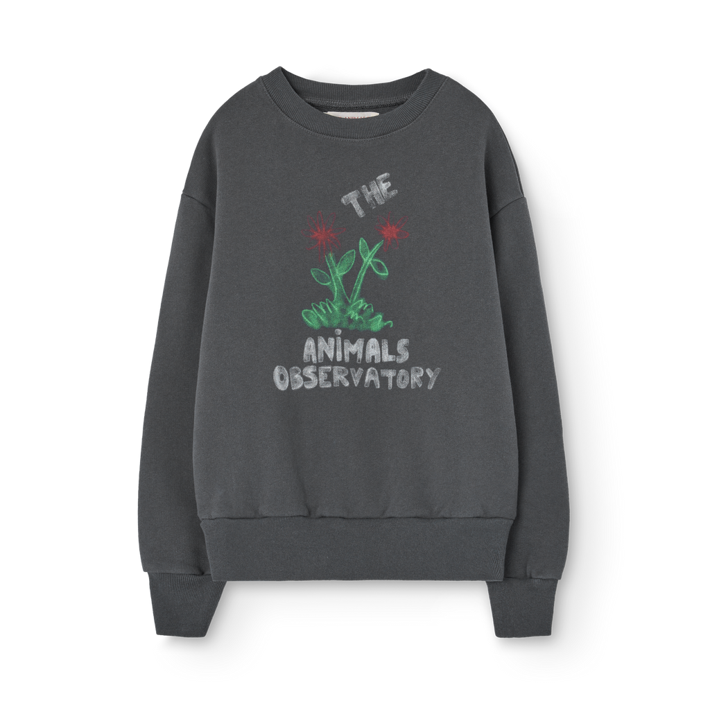Dark gray Bear sweatshirt