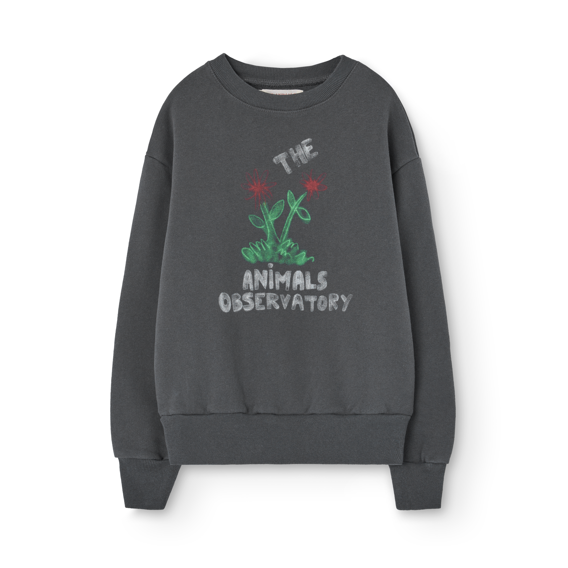 Dark gray Bear sweatshirt