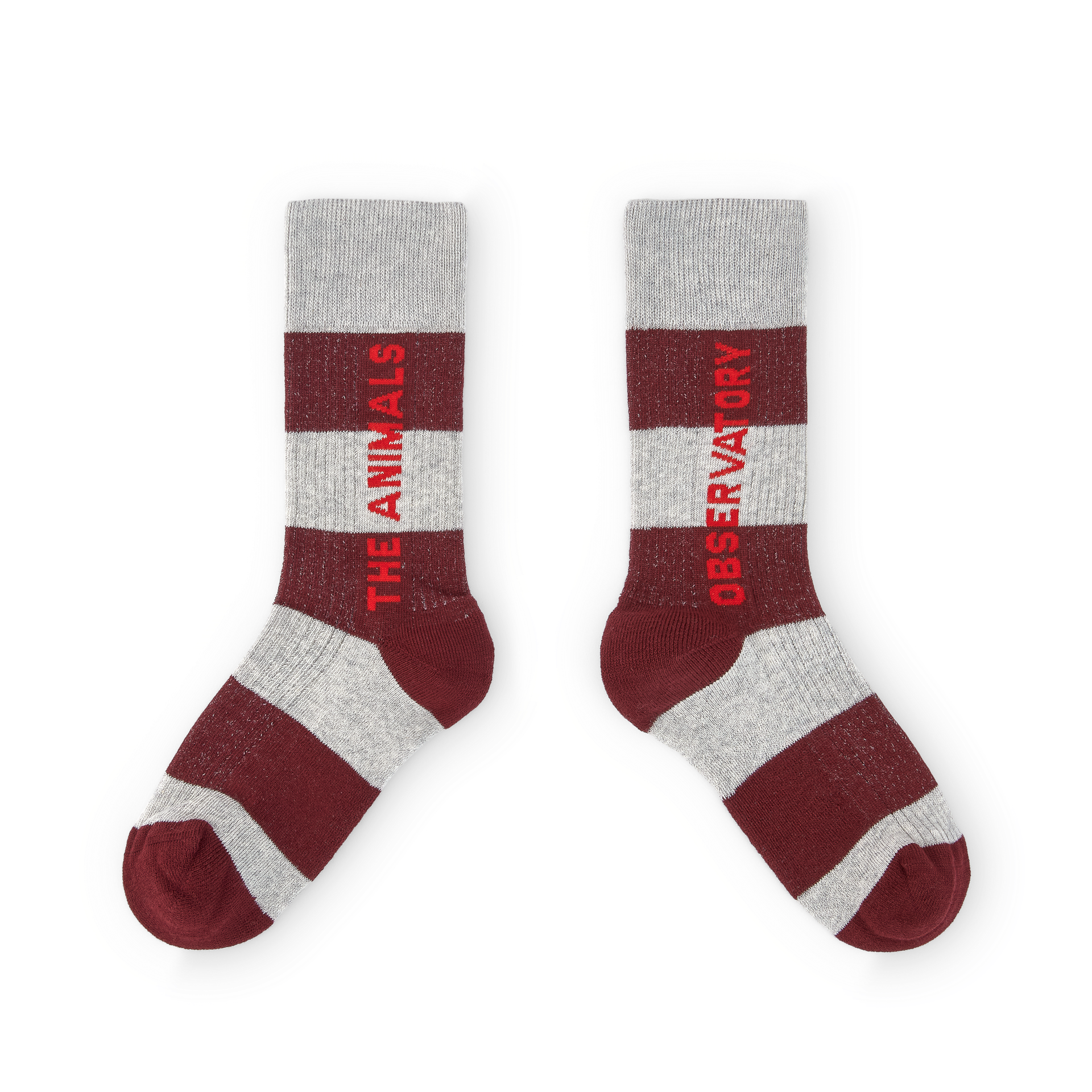 Grey and burgundy socks