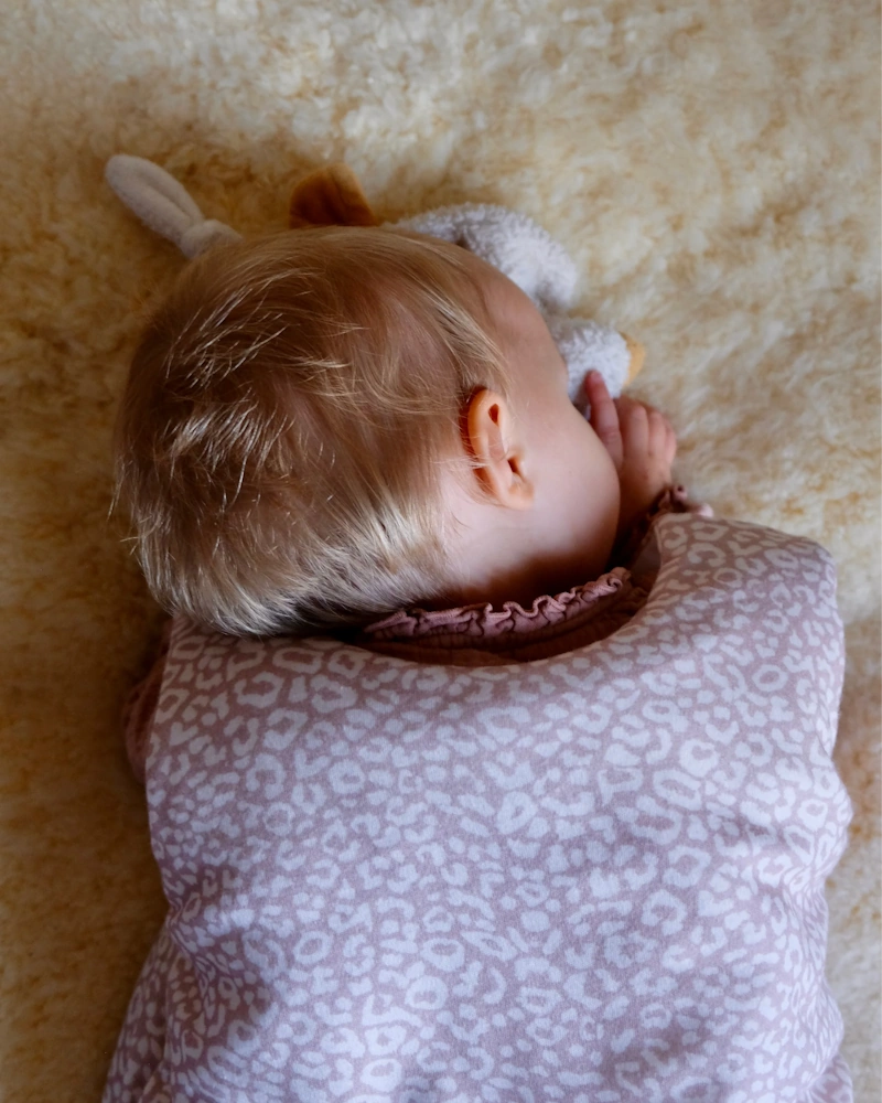 Winter sleeping bag "Graou"
