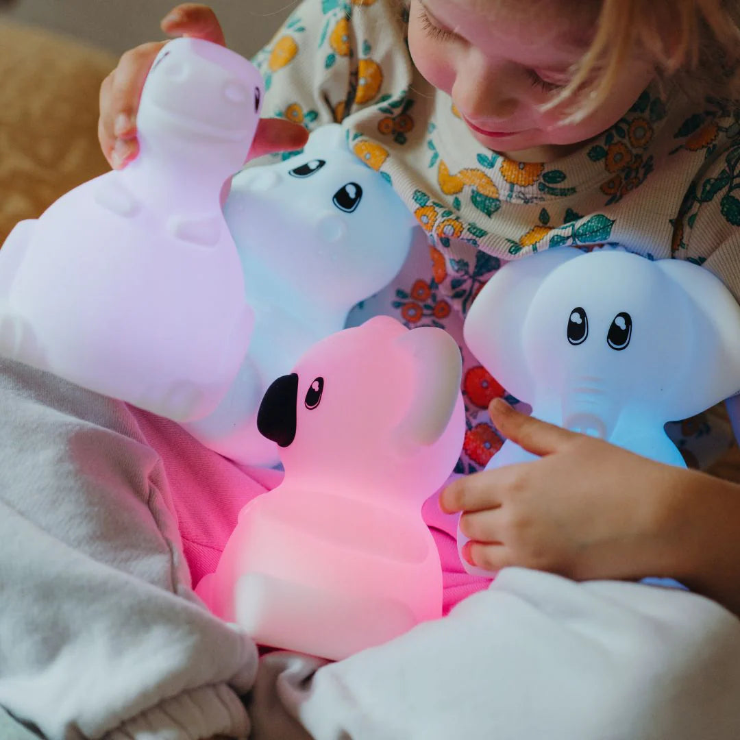 KIDYNIGHT DINOSAURE NIGHT LIGHT