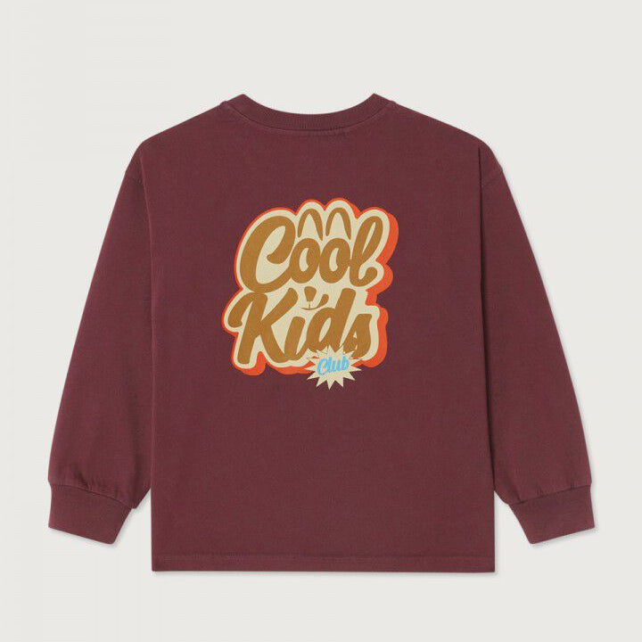 T-shirt Fizvalley long sleeve Aubergine Vintage