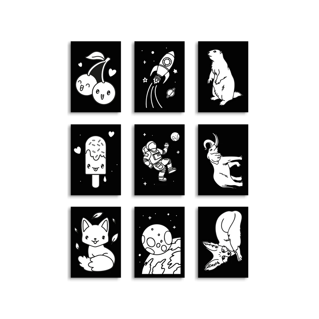 KIDYNEON - Multi Pack