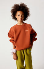 Sweat Izubird Vintage Cinnamon