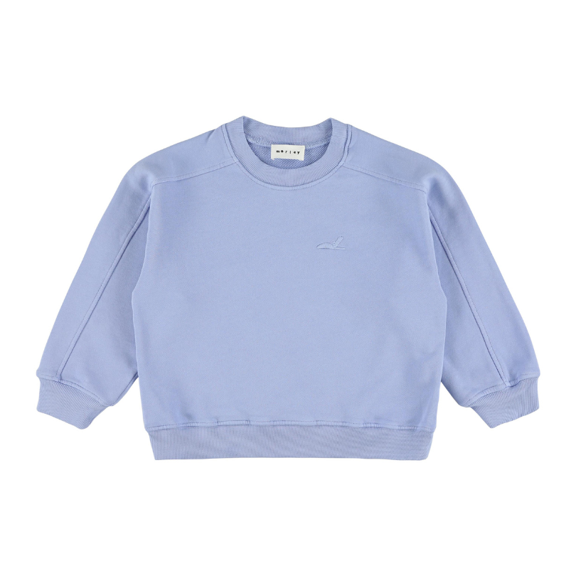 Blue wagon sweatshirt