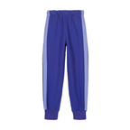 Charles royal blue jogging suit