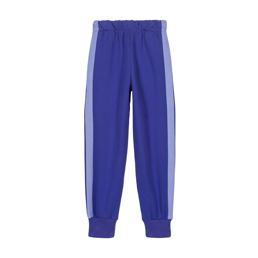 Charles royal blue jogging suit