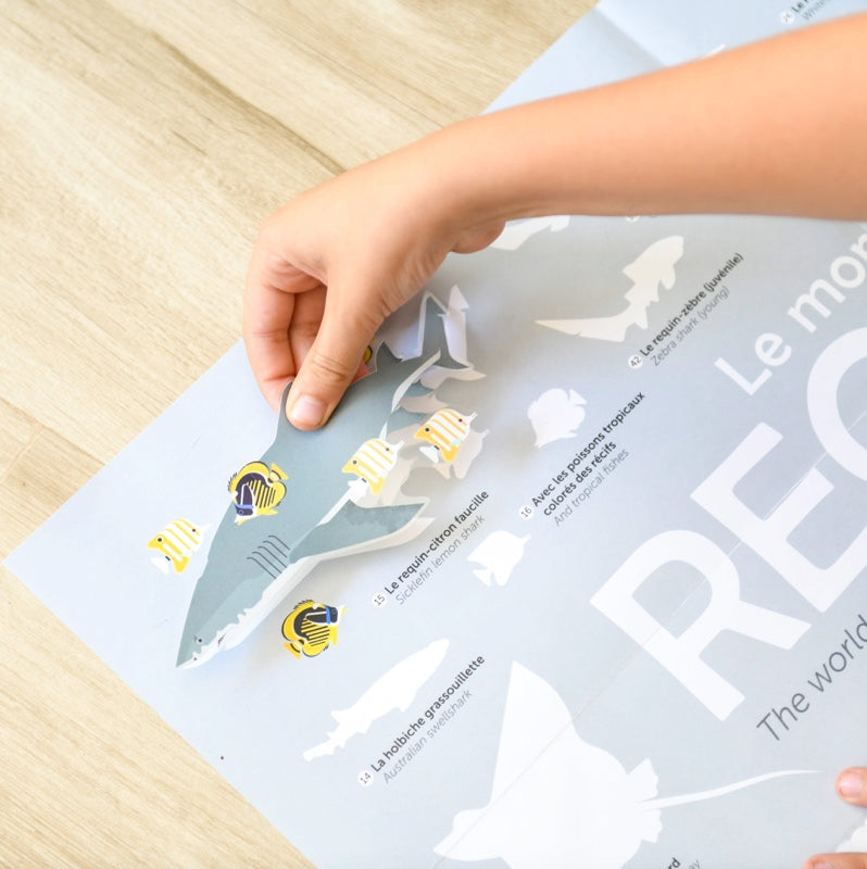 Educational poster + 45 stickers sharks