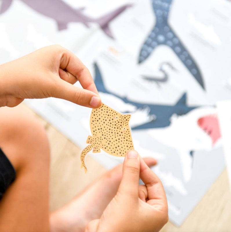 Educational poster + 45 stickers sharks