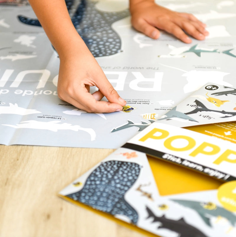 Educational poster + 45 stickers sharks