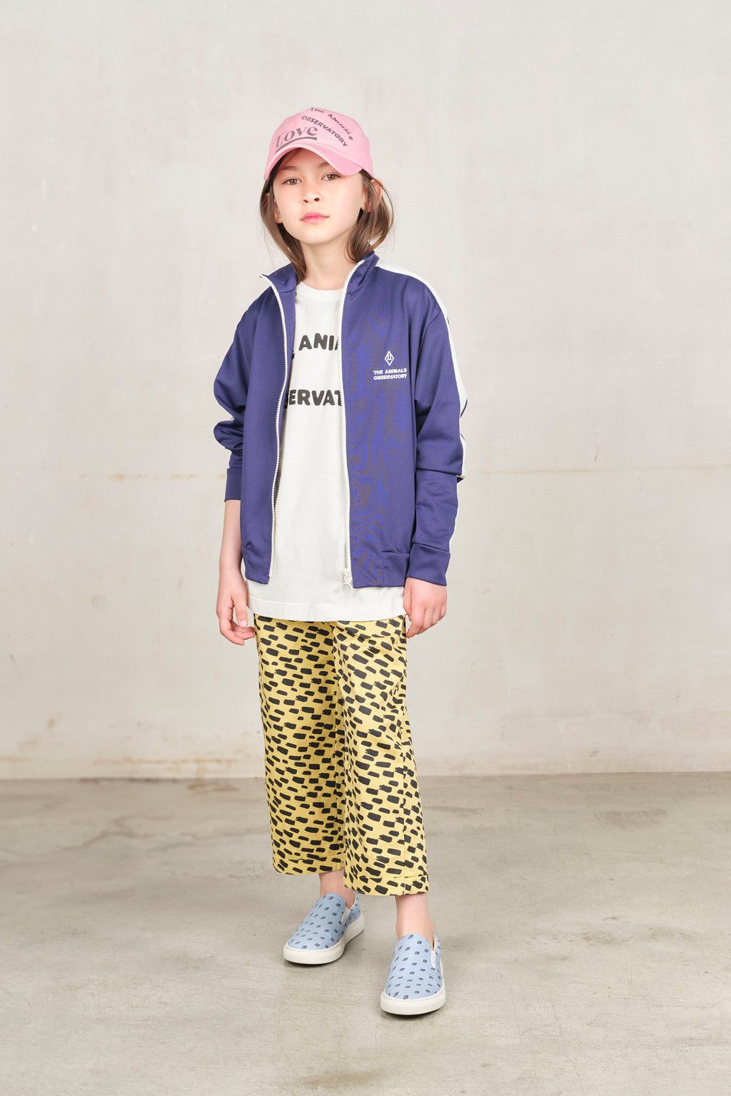 Zebra blue vest