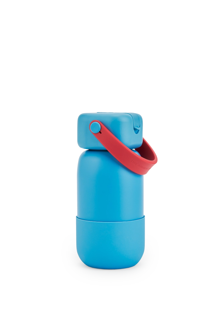 Gourde Guacamayo bleue