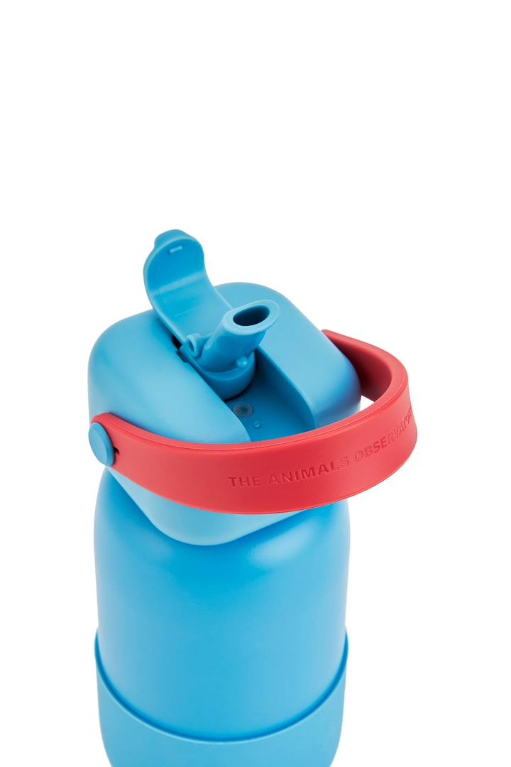 Gourde Guacamayo bleue