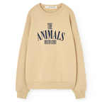 Sweat Killifish Soft Brown