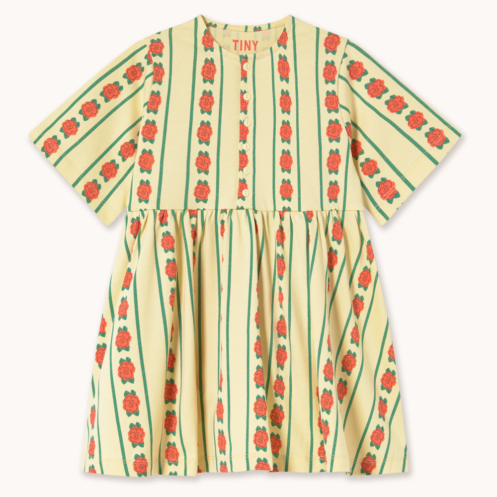 Robe à Motif de Roses