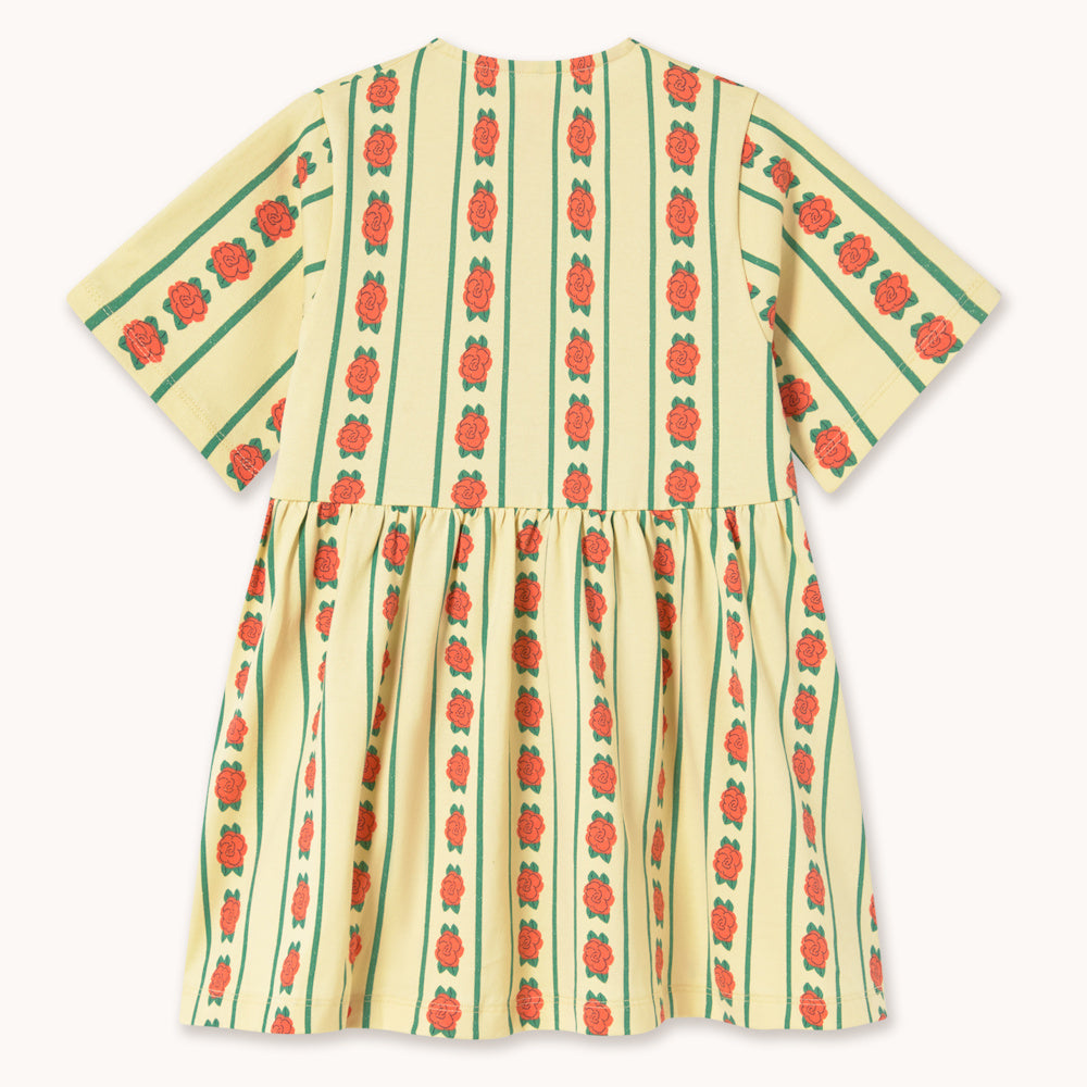 Robe à Motif de Roses