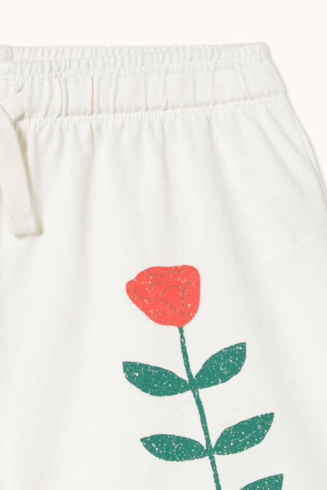 Shorts with Red Roses Graphic Print