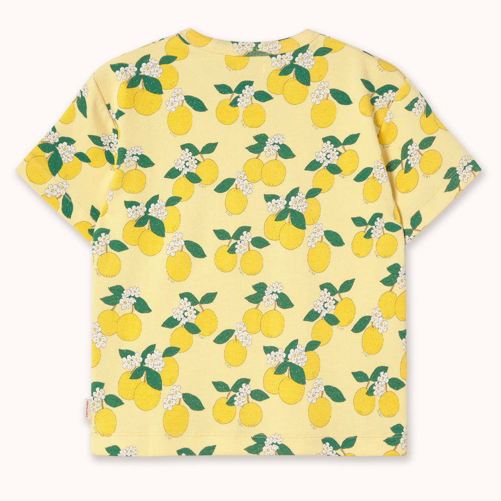 T-shirt en Maille Côtelée à Imprimé Oranges