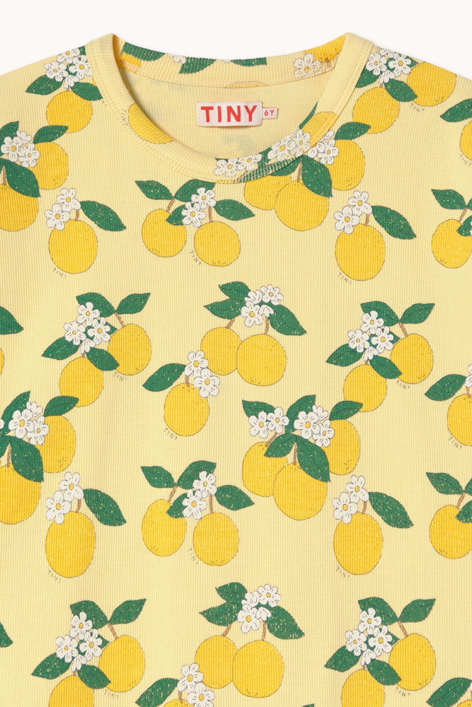 T-shirt en Maille Côtelée à Imprimé Oranges