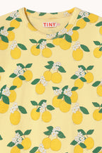 T-shirt en Maille Côtelée à Imprimé Oranges