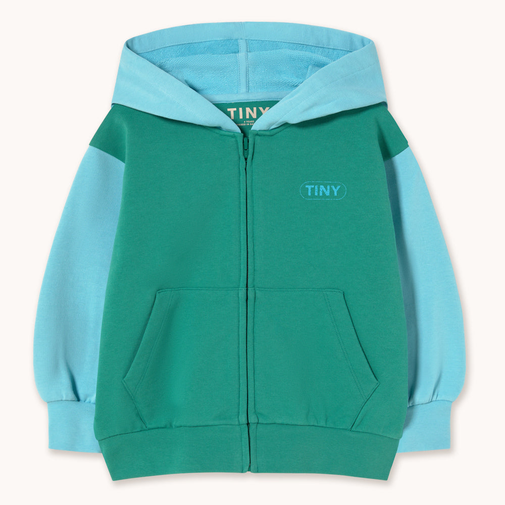 Hoodie à Blocs de Couleurs Vert et Bleu Clair