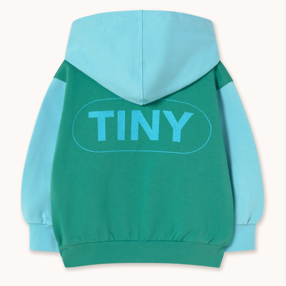 Hoodie à Blocs de Couleurs Vert et Bleu Clair
