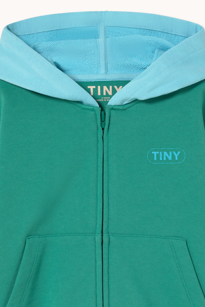 Hoodie à Blocs de Couleurs Vert et Bleu Clair